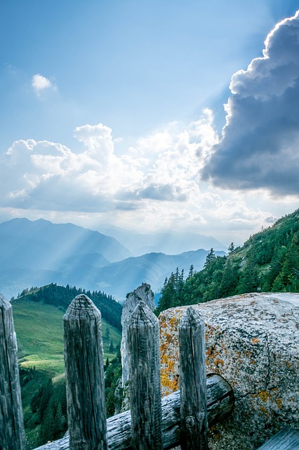 Image by Oliver Lechner from Pixabay