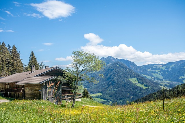 Image by Oliver Lechner from Pixabay