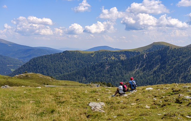 Image by Bruno Glätsch from Pixabay
