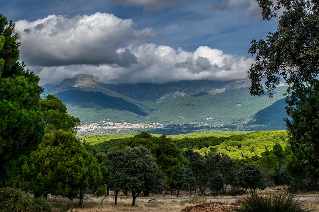 Image by javier alamo from Pixabay