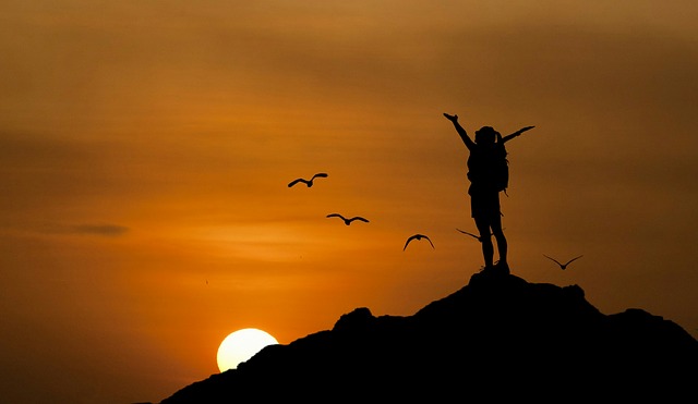 Image by mohamed Hassan from Pixabay