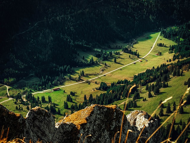 Image by 11160987 from Pixabay