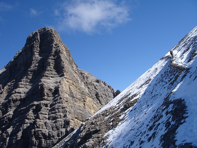 Image by Hans Braxmeier from Pixabay