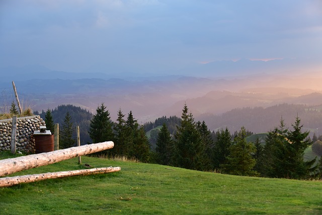 Image by piundco from Pixabay