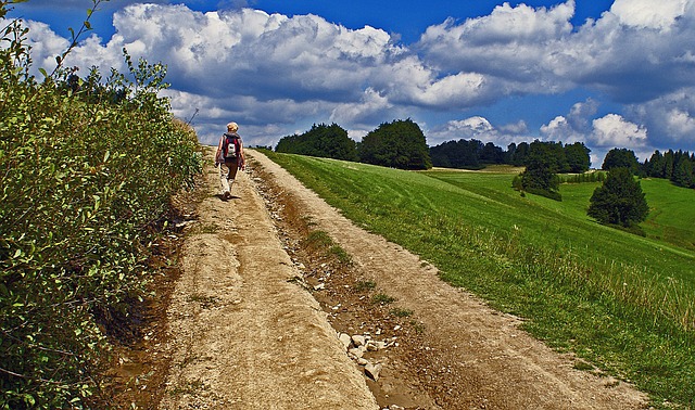 Image by Bronisław Dróżka from Pixabay