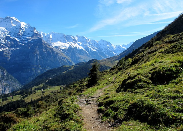Image by Esther Grosjean from Pixabay