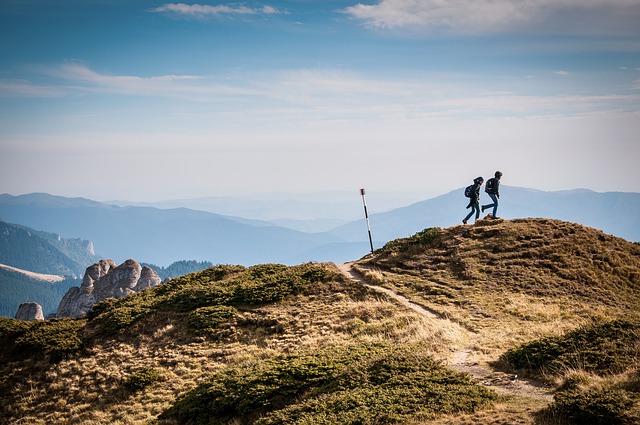 Image by Free-Photos from Pixabay