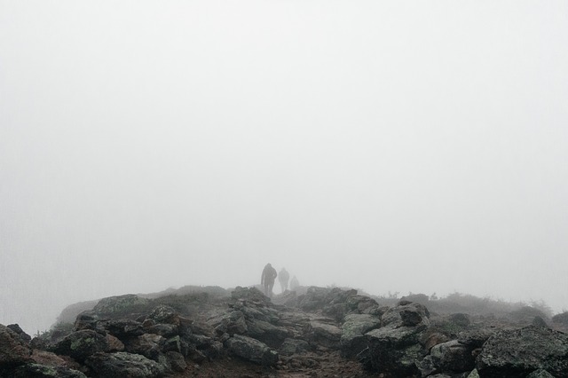Image by Free-Photos from Pixabay