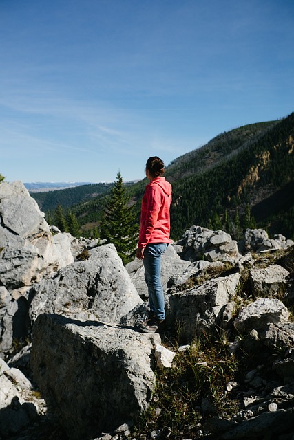 Image by StockSnap from Pixabay