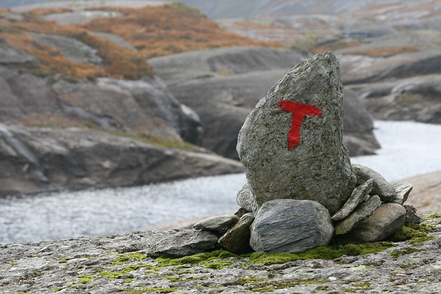 Image by Marion Våge from Pixabay