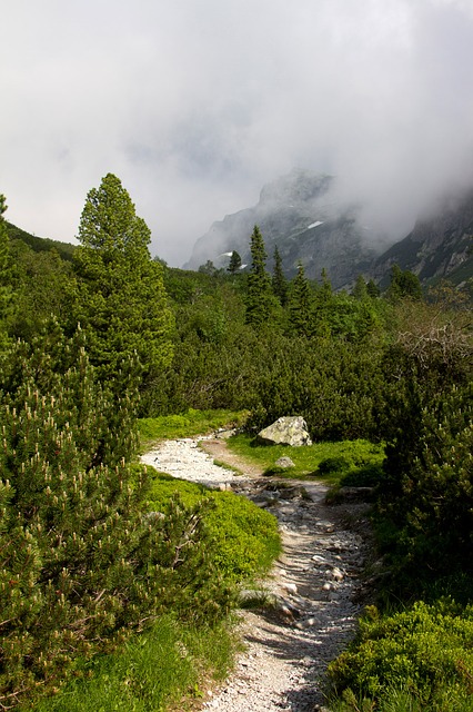 Image by PublicDomainPictures from Pixabay