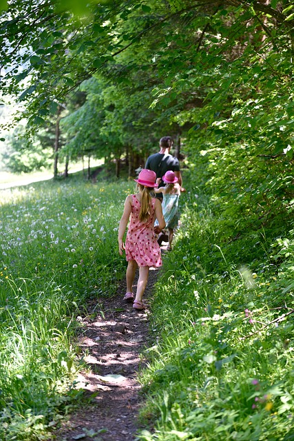Image by Pezibear from Pixabay
