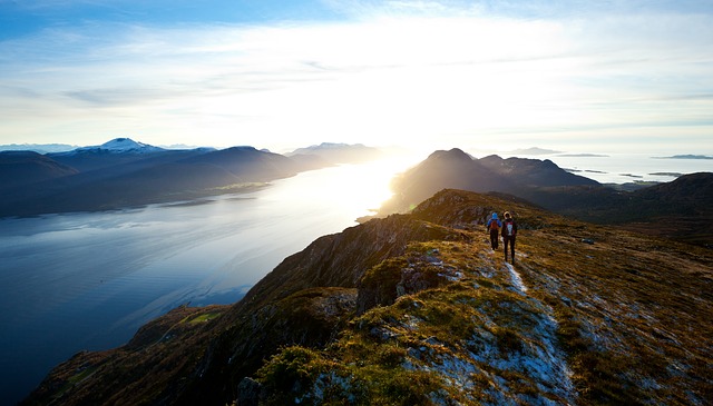 Image by StockSnap from Pixabay