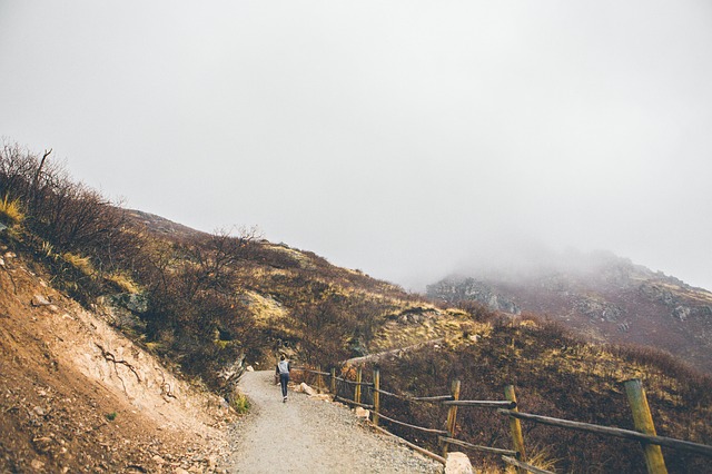 Image by StockSnap from Pixabay