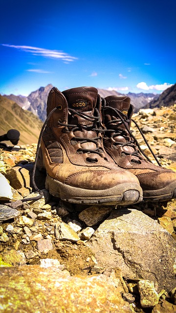 Image by Thomas Breher from Pixabay