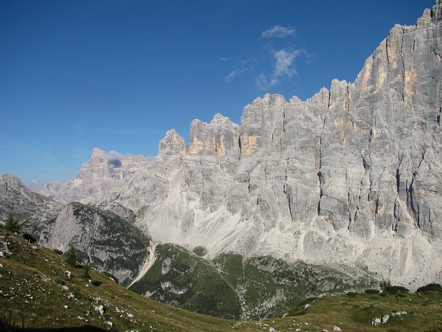 Image by alfredzedelmaier from Pixabay