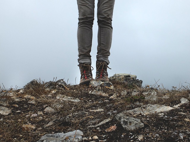 Image by Free-Photos from Pixabay