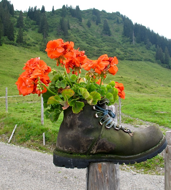 Image by Blandine Schillinger from Pixabay