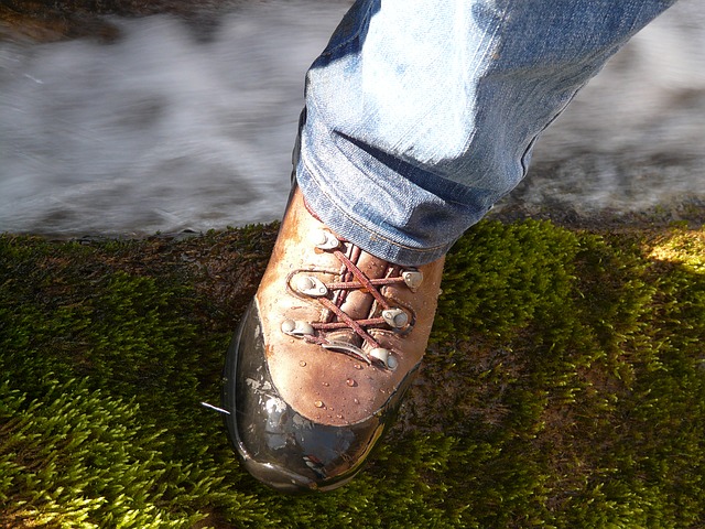 Image by Hans Braxmeier from Pixabay