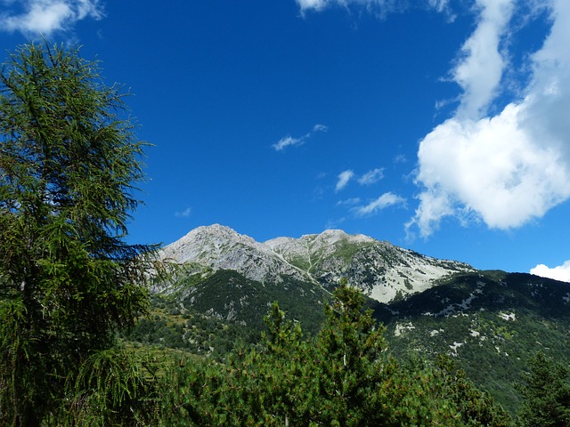 Image by Hans Braxmeier from Pixabay