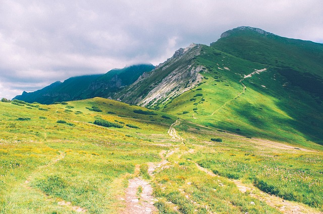 Image by Free-Photos from Pixabay
