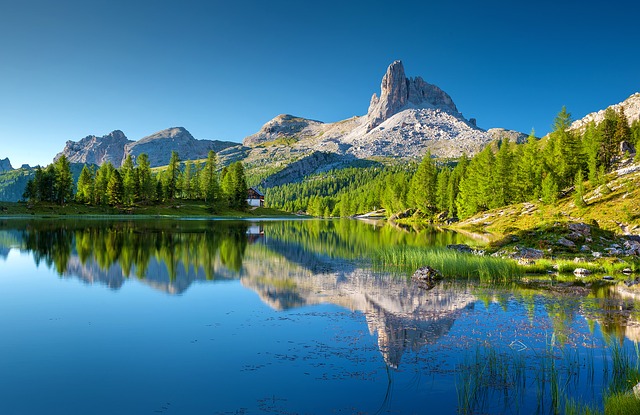 Image by Julius Silver from Pixabay