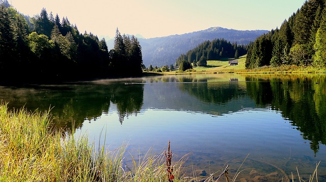 Image by RENE RAUSCHENBERGER from Pixabay