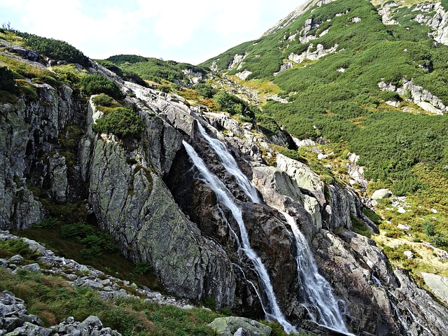 Image by Krzysztof Jaracz from Pixabay