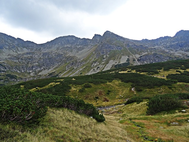 Image by Krzysztof Jaracz from Pixabay