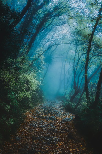 Image by David Mark from Pixabay