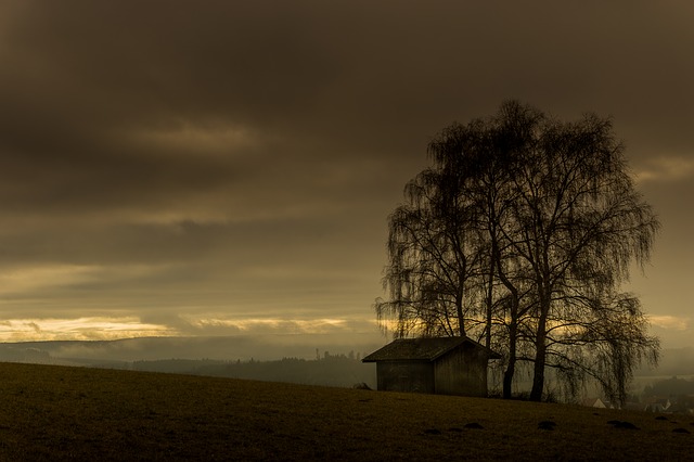Image by Florian Kurz from Pixabay