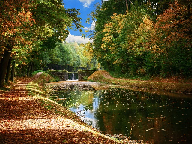 Image by Gerhard Gellinger from Pixabay