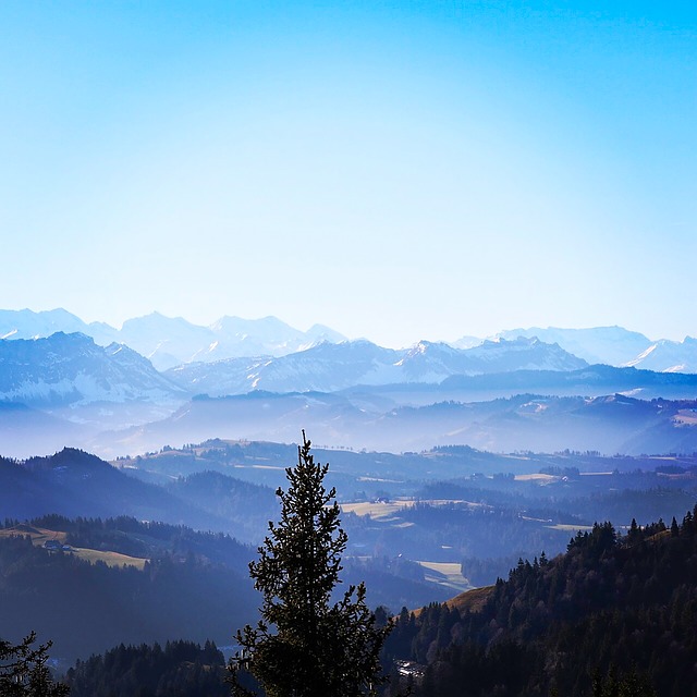 Image by DijanaVu from Pixabay