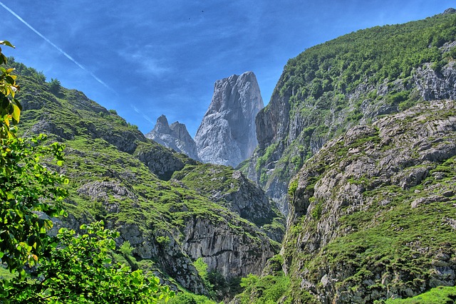 Image by Carlos Urteaga Pintado from Pixabay