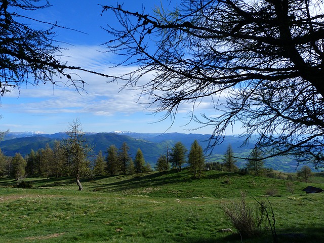 Image by claude alleva from Pixabay