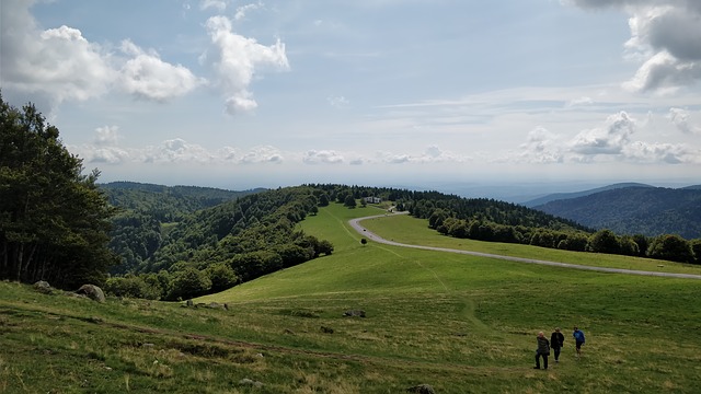 Image by benesvan from Pixabay