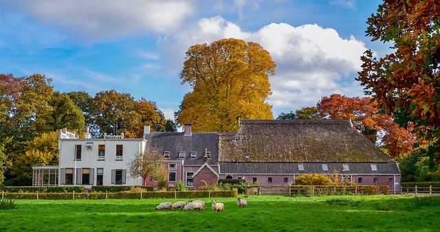 Image by Zachtleven fotografie from Pixabay