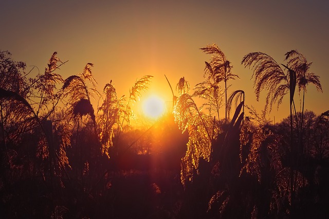 Image by Michael Gaida from Pixabay