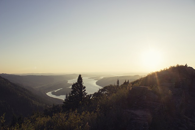 Image by Free-Photos from Pixabay