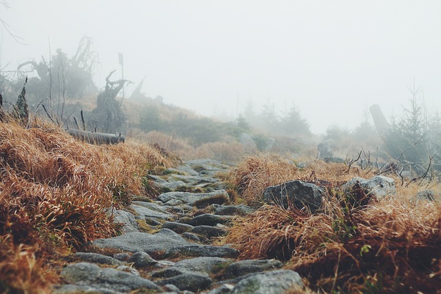 Image by Free-Photos from Pixabay