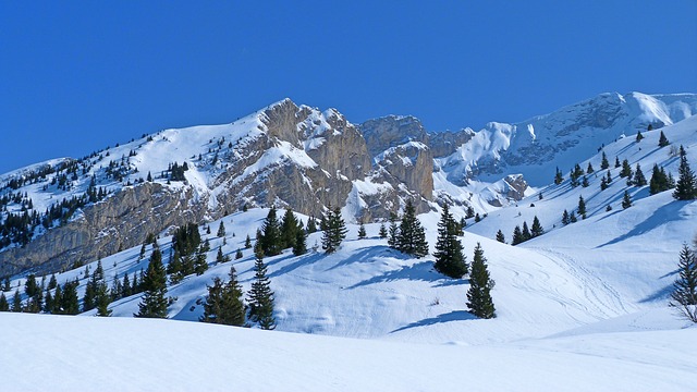 Image by claude alleva from Pixabay