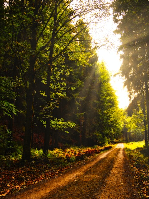 Image by Norbert Pietsch from Pixabay