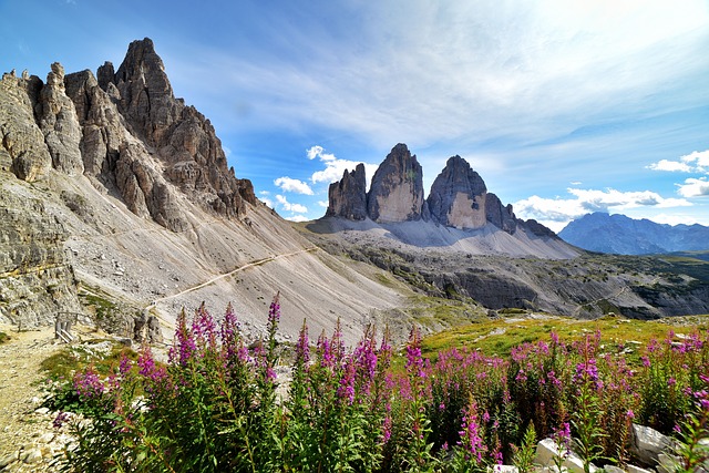 Image by Giampaolo Mastro from Pixabay