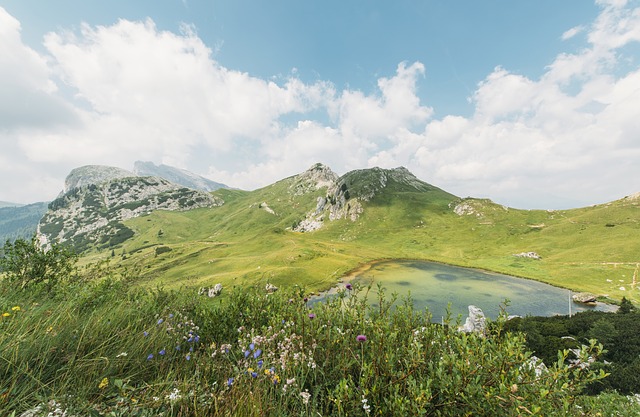 Image by Free-Photos from Pixabay