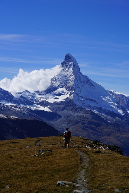 Image by Suppenkasper from Pixabay