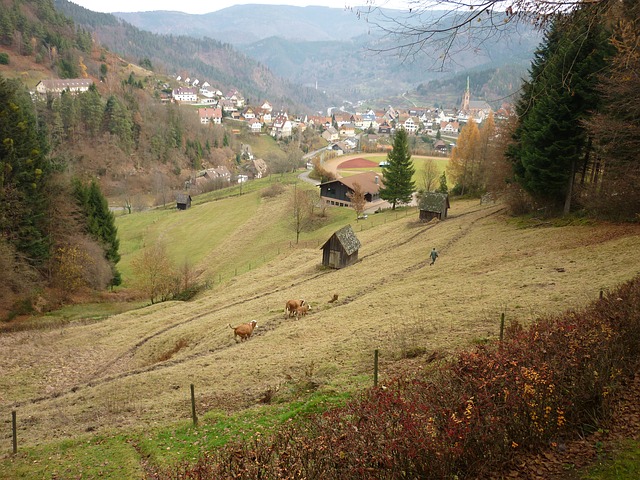 Image by skoeck from Pixabay