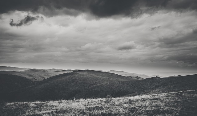 Image by Foundry Co from Pixabay