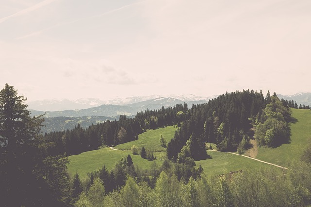 Image by Markus Spiske from Pixabay