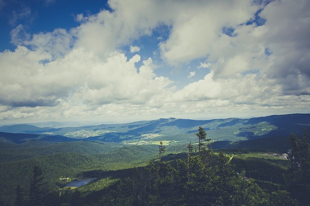 Image by Markus Spiske from Pixabay