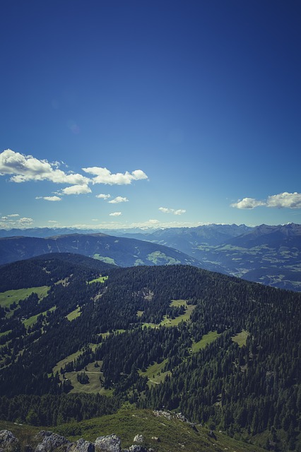 Image by Markus Spiske from Pixabay